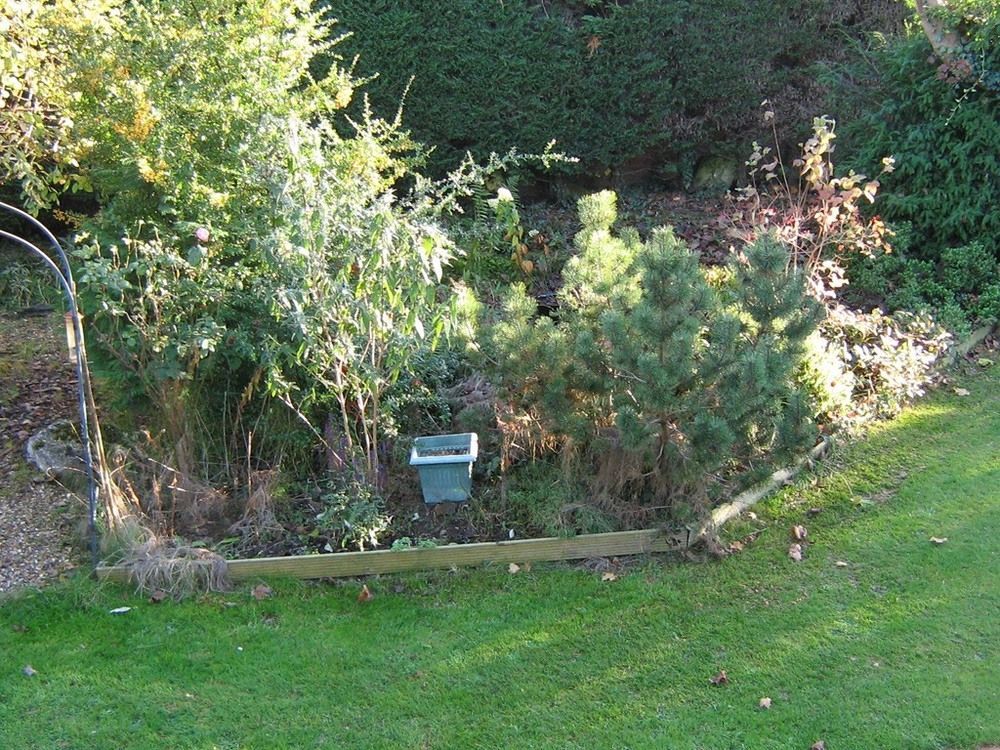 Savannah Bed And Breakfast Virginia Water Extérieur photo